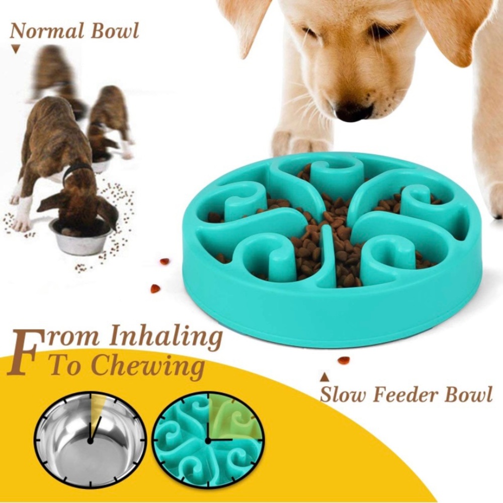 Slow feeder dog bowl